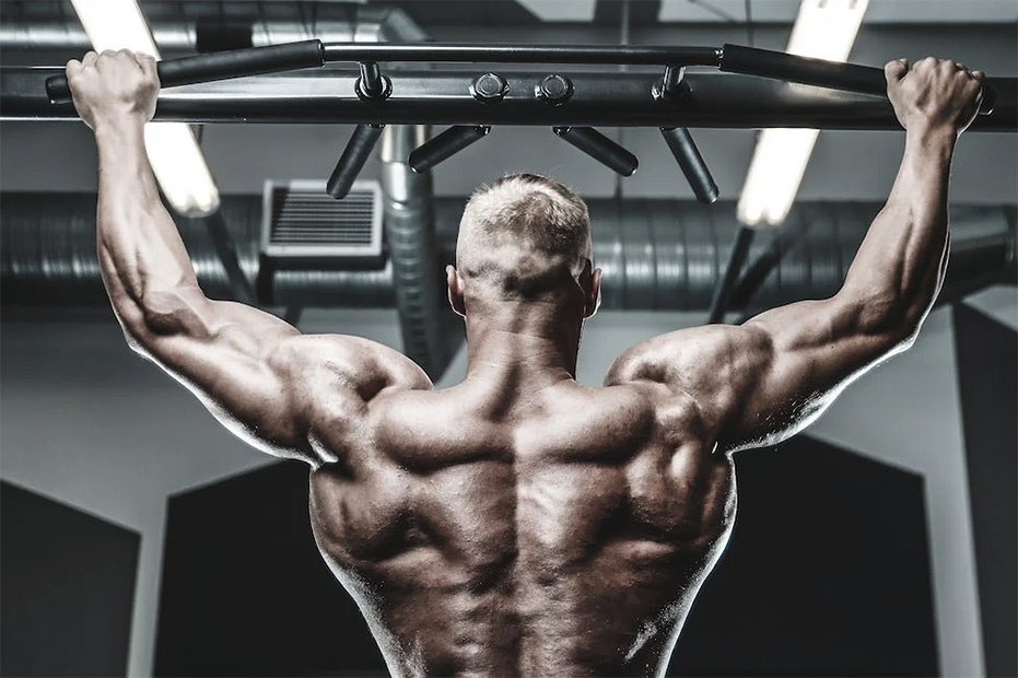 Набор мышечной массы на курсе стероидов